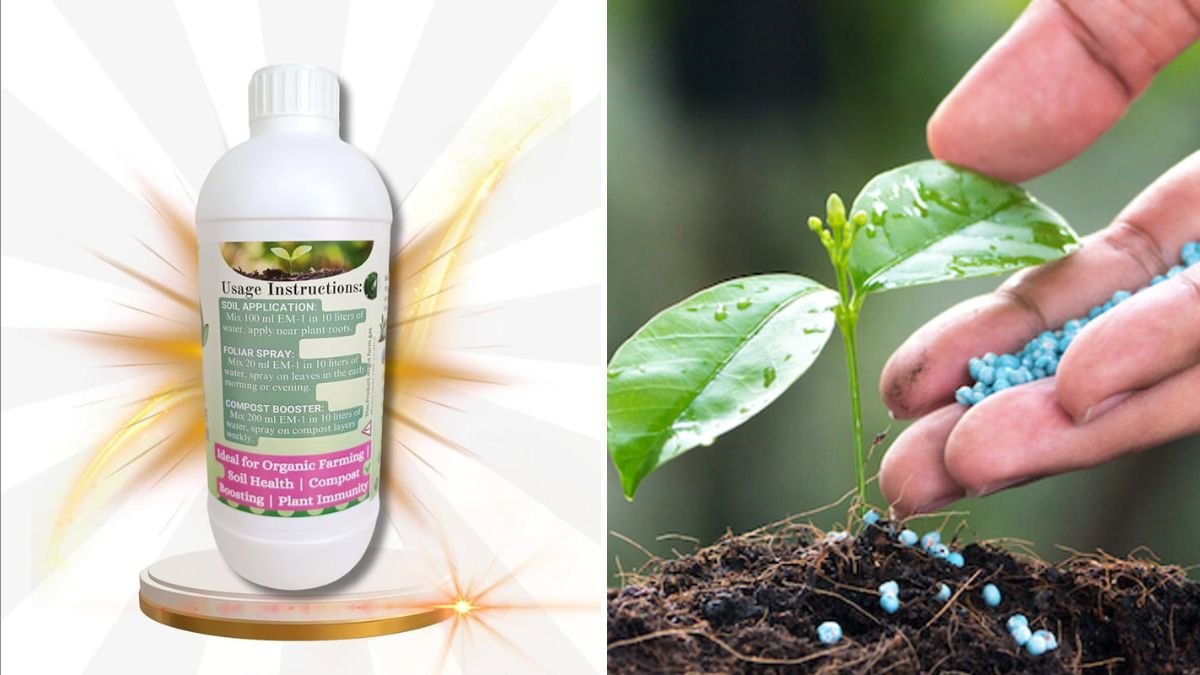 The Best Natural Additives for Boosting Soil Microbes
