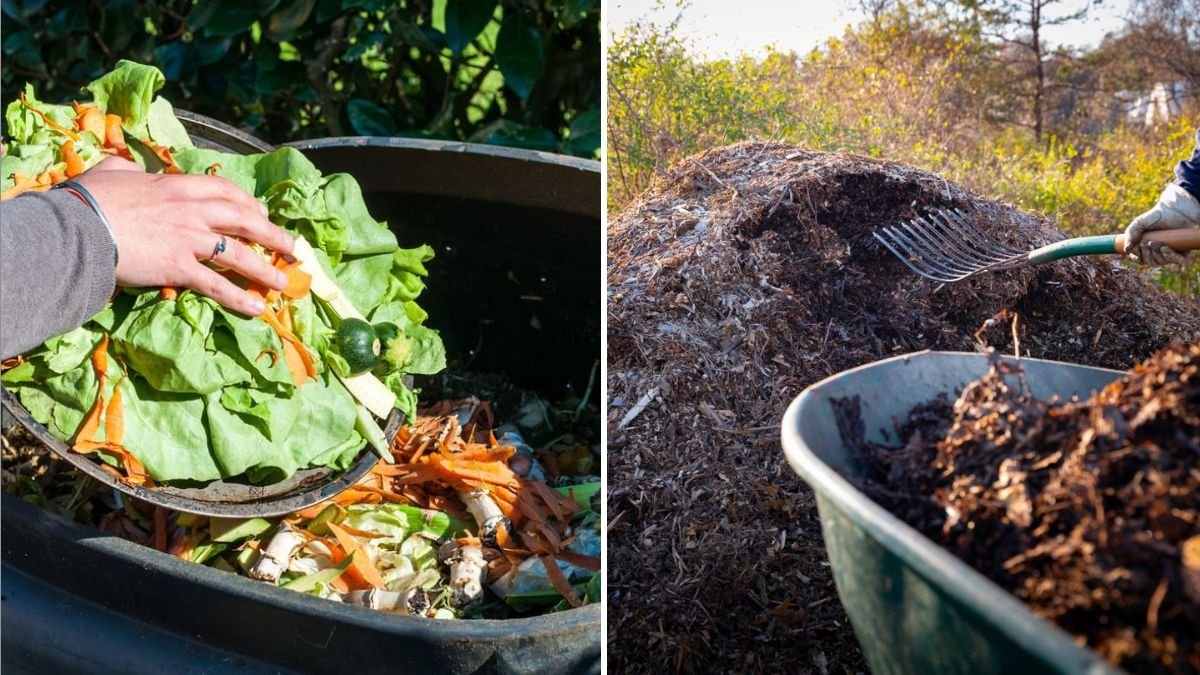 7 Composting Mistakes That Kill Nutrients Fast