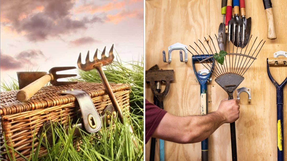 How to Keep Garden Tools Rust-Free Year-Round