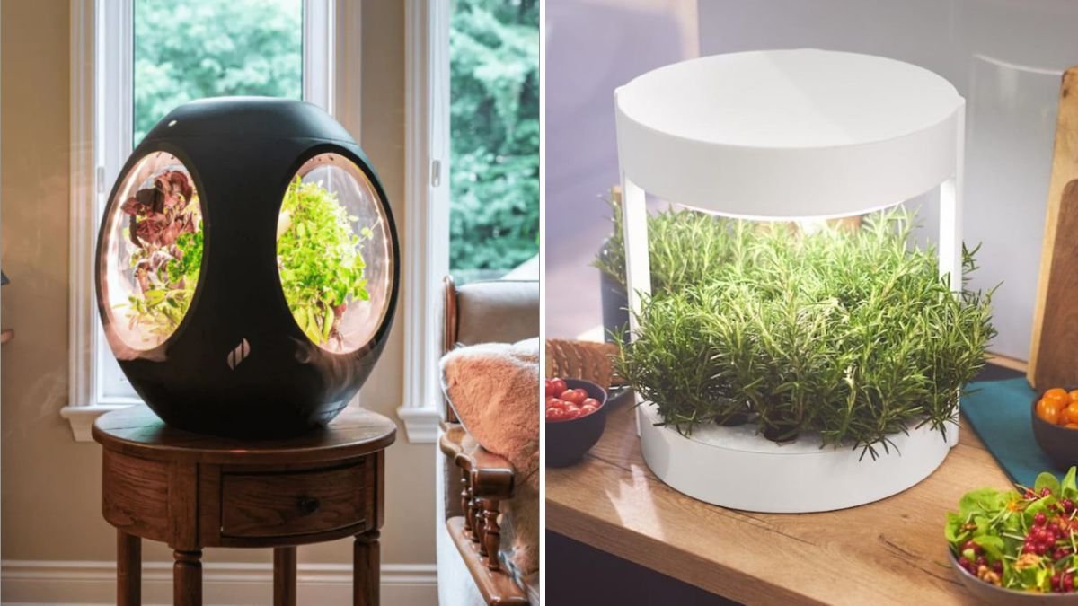 7 Smart Gadgets Every Modern Gardener Needs