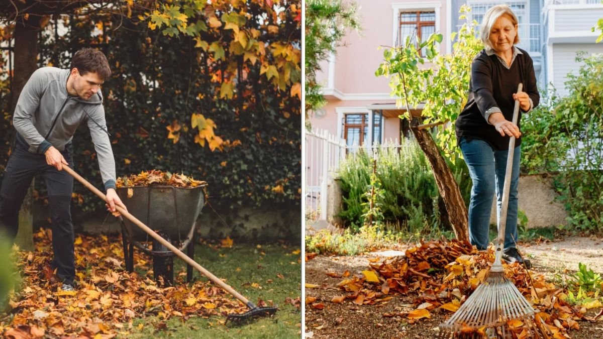 10 Fall Gardening Tasks You Should Never Skip