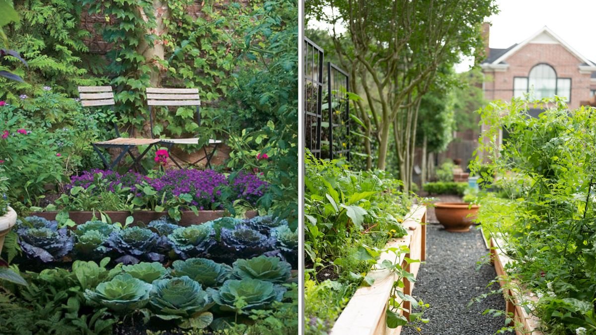 How to Design a Kitchen Garden You’ll Actually Use