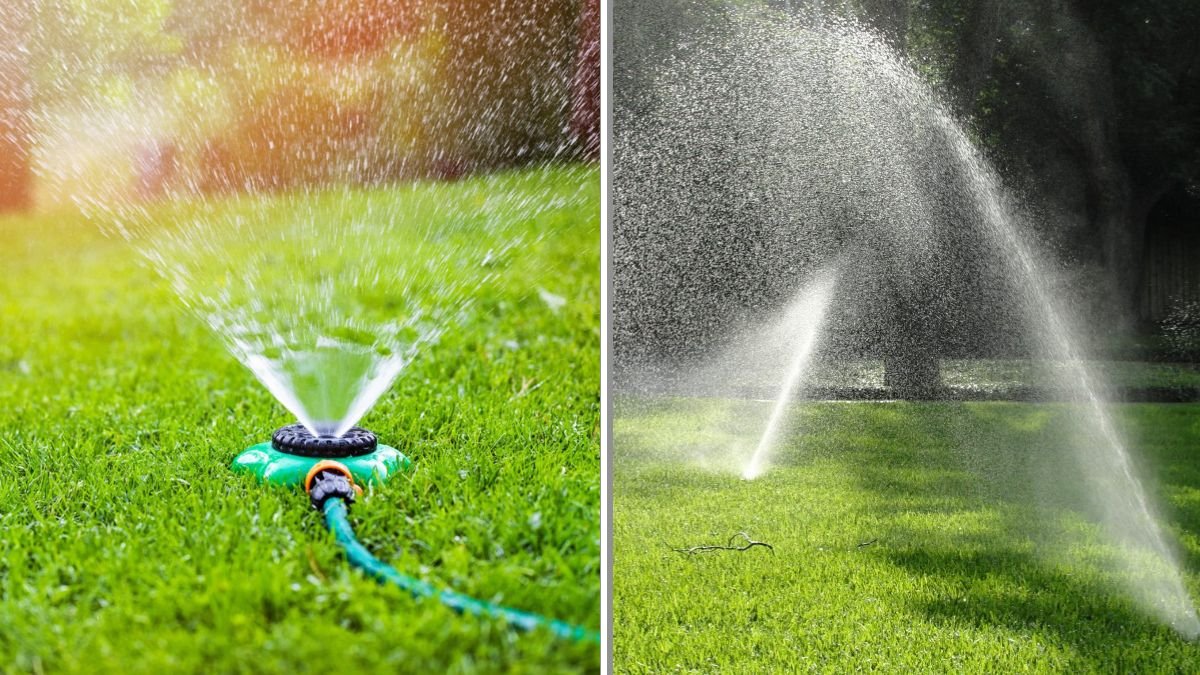 How to Water Your Lawn During a Heatwave